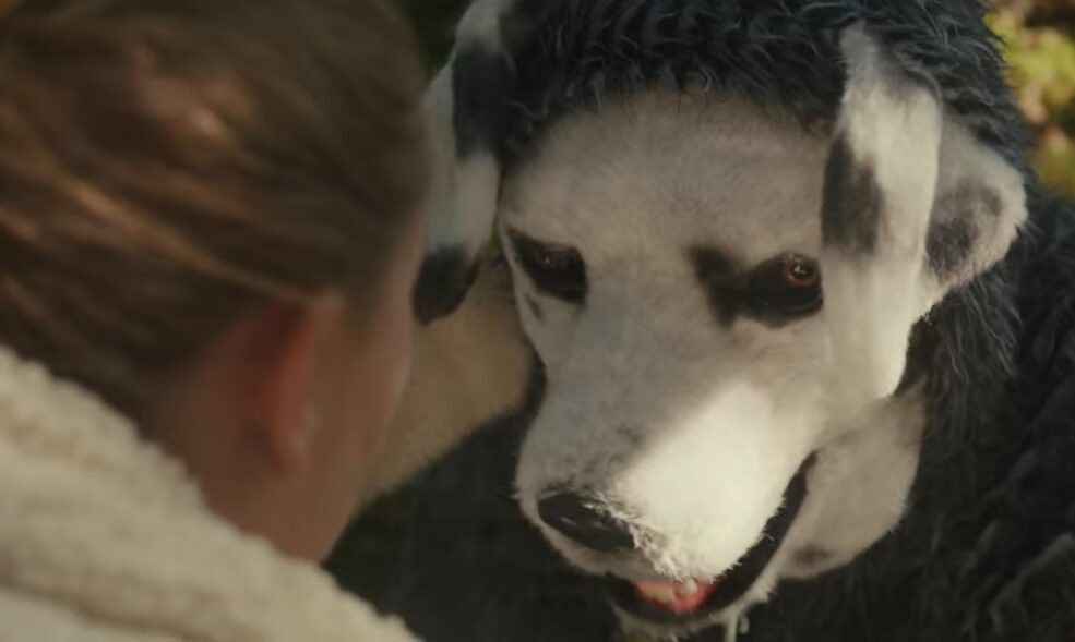 Insights To Making A Successful Feature for $7000